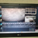 춘삼월목장 | 춘삼월(3월19일폭설내리다❄)눈내린 대관령양떼목장 다녀온후기/모닝타고눈길운전🚗/주차물피도주당한후기