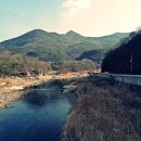 [경북 상주] 백화산(933m) 이미지