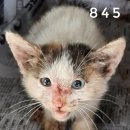 목포청연한방병원 이미지