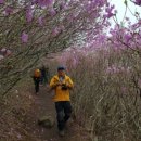 공곶이 언덕 이미지