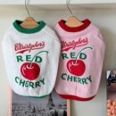 싱글멍글 이미지