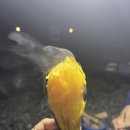 스테이노을 이미지