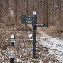 🏔 2026년도 미봉 산악회 1월 첫 정기산행 태백산 눈꽃 여행 🏔 이미지