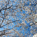 옛날찐곰탕 이미지