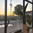 헤이브 | N번째 방문한 광주 대형카페, 용전동 카페 [반헤이브] 브런치 후기