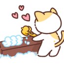 CGV 해운대 5관 이미지