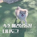 풍경운동장 화장실 | 강원도 속초 애견카페 나나도그 애견운동장 오프리쉬 설악산 풍경 맛집