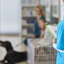 조이동물병원 이미지