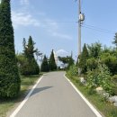 손별농장 이미지