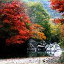 순창 강천산 종주(단풍산행) 이미지