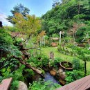 백복령팬션하우스 | 강원도 정선 패밀리 가족 계곡 펜션 솔미하우스 내돈내산 후기