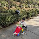 용인자연휴양림 | 용인 자연휴양림 단풍 아기랑 가을 피크닉 후기