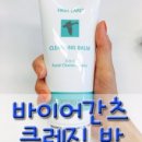 바이어간츠코리아 이미지