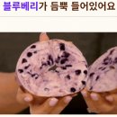 베이글스 | 다이어트할 때 빵 포기 못하는 사람 필독, 저스트베이글스 뉴욕 베이글 솔직 후기 (7/4까지 할인)