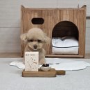 쓰담쓰담약국 | 강아지 피부 영양제 반려견 피부 관리에 좋은 울애기쌩쌩