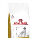 김해 동물병원 이미지