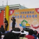 박인순 Daum카페