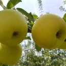 골드농장 이미지