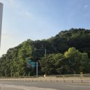 청벽 | 제17회 토요미식회 ㅣ 공주 막국수 ➡️ 세종 젤라또 ➡️ 대전 볼링 & 회장님댁 후식 풀코스 후기