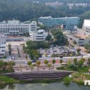 구리동물보호센터 이미지