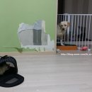 구평동물병원 이미지