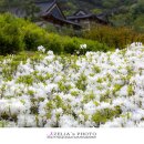 화랑마을-4 이미지