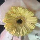 동일청과 | 부모님 인사선물 과일바구니 화월청과 비추 솔직 후기(다른지점 과일 구성 비교)