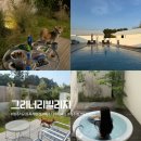 제주 행복스케치 펜션 | 제주 서귀포 애견동반 가능한 독채 자쿠지 숙소 그리너리빌리지 펜션 내돈내산 3박 후기