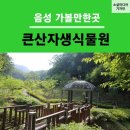 자생식물원 이미지