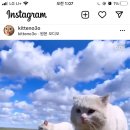 술이땡기는밤