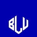 BLU GYM 이미지