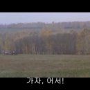 시베리아이발사