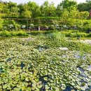 바다향기수목원(바다너울원) 이미지