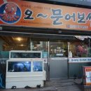오문어 이미지