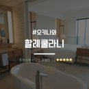 트래블윙 | [오키나와] 할레쿨라니 디럭스 오션뷰 (선셋윙) 투숙 후기 및 정보(아멕스 FHR) #내돈내산 #수영장 자세히