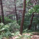 삼각경로당 이미지