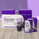 안토베리