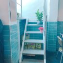 낭만멸치 이미지