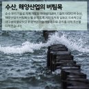 대성에프앤비