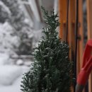 현대화공약품상사 이미지