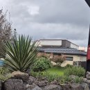 제주드루앙 신촌점 | 제주 신촌 숙소 추천 l 제주 감성 가득한 제주드루앙 신촌점 내돈내산 후기