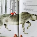 빨간모자 이미지