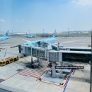 963 | 동유럽 (체오헝) 7박 9일 모녀여행기 - 1일차 (호텔 HOTEL AKEAH VERDI BUDAPEST, 대한항공 KE963 후기 )