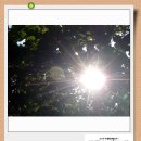 옹달샘꽃누름마을 이미지