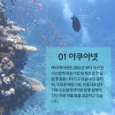 (주)아쿠아넷 네이버블로그