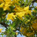 거목농장 이미지