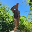 리빙스톤 | [잠비아 리빙스톤] 빅토리아 폭포 보고 온 후기