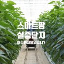 김제닉스