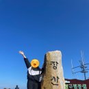 재송1동-20 이미지