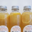 새날스토리